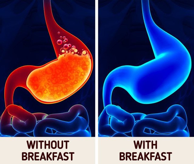Nhịn ăn sáng ảnh hưởng đến cơ thể như thế nào? - Ảnh 6.
